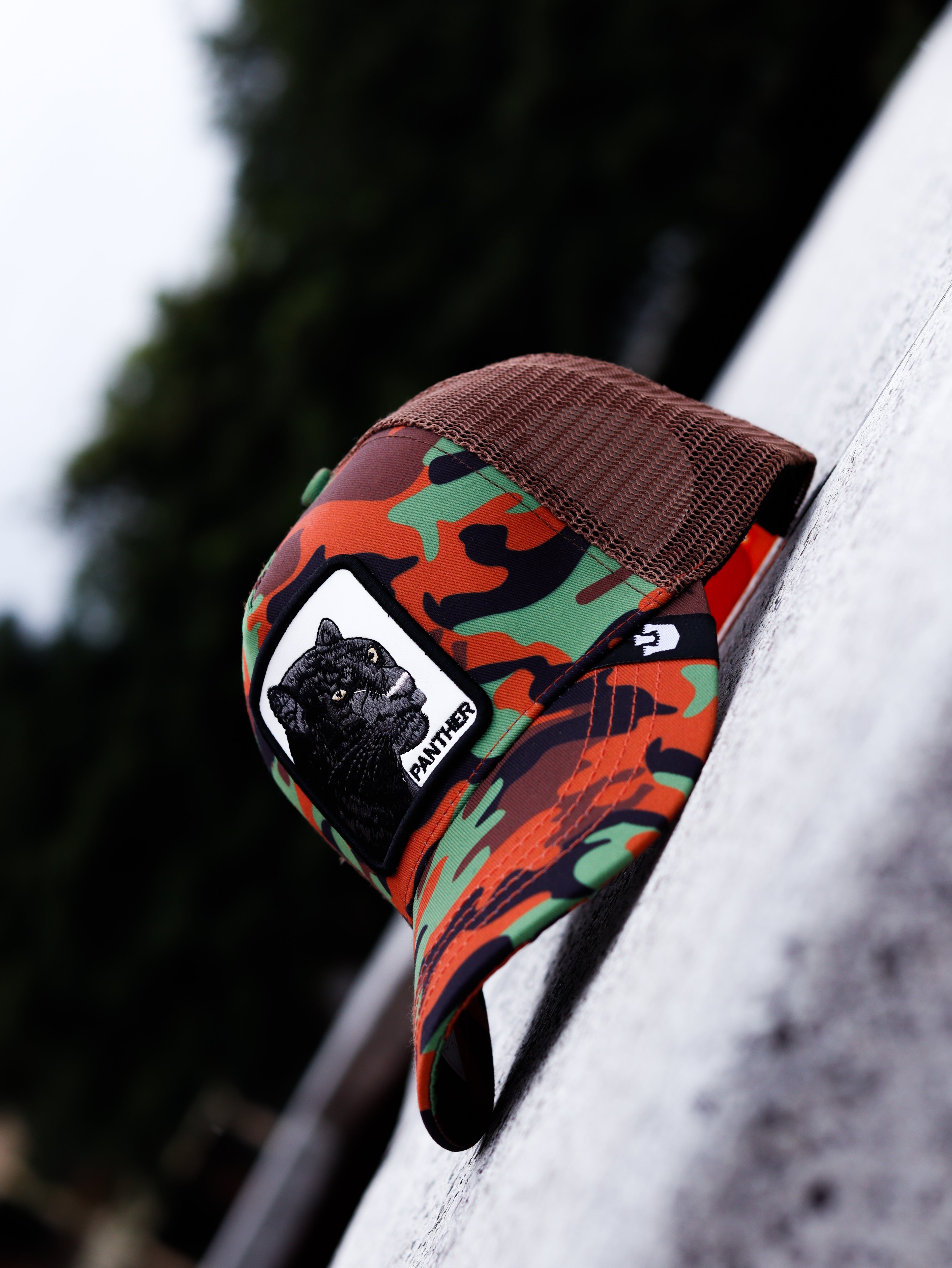 CAP GOORIN BROS PANTER