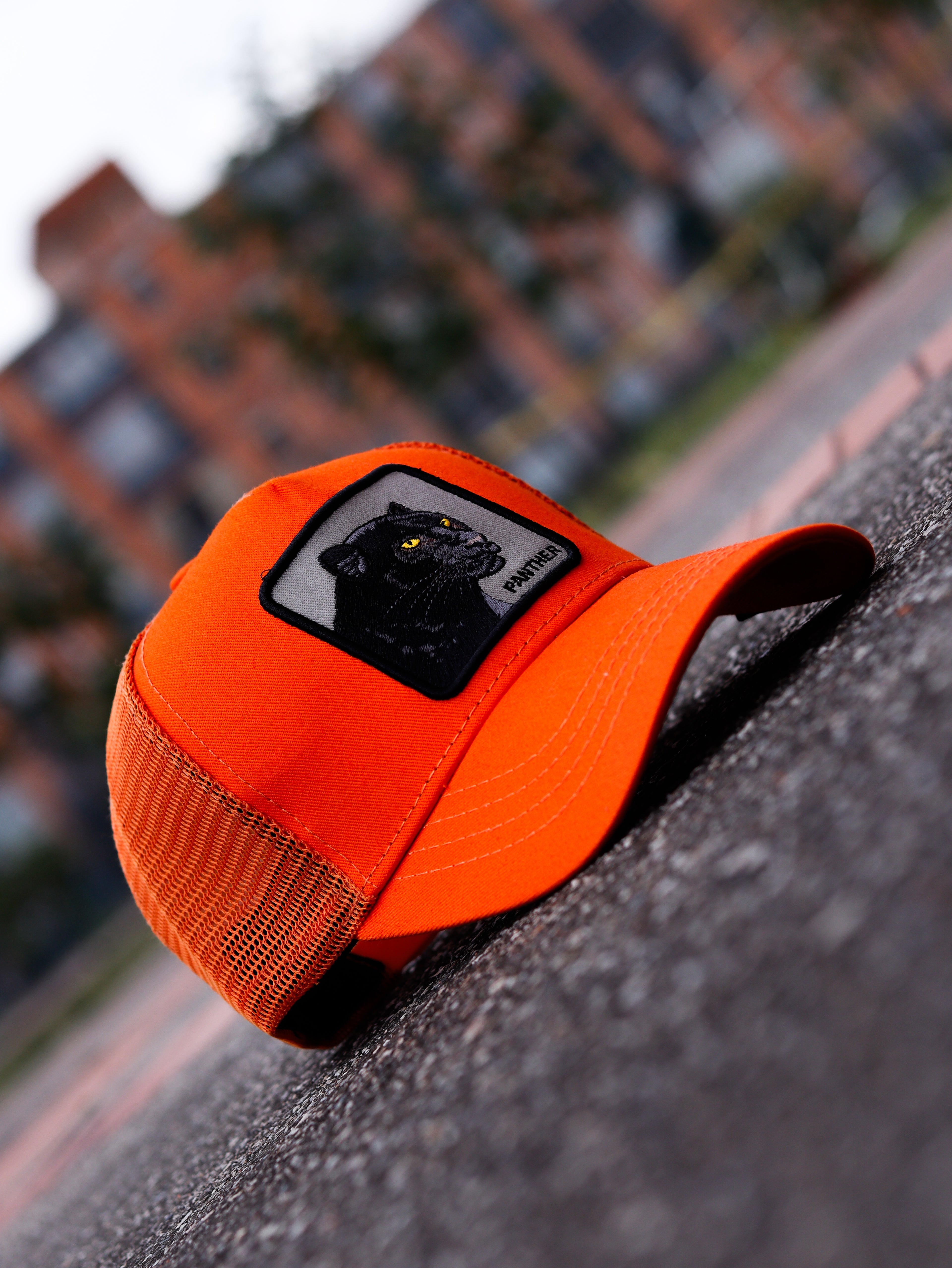 CAP GOORIN BROS PANTER ORANGE