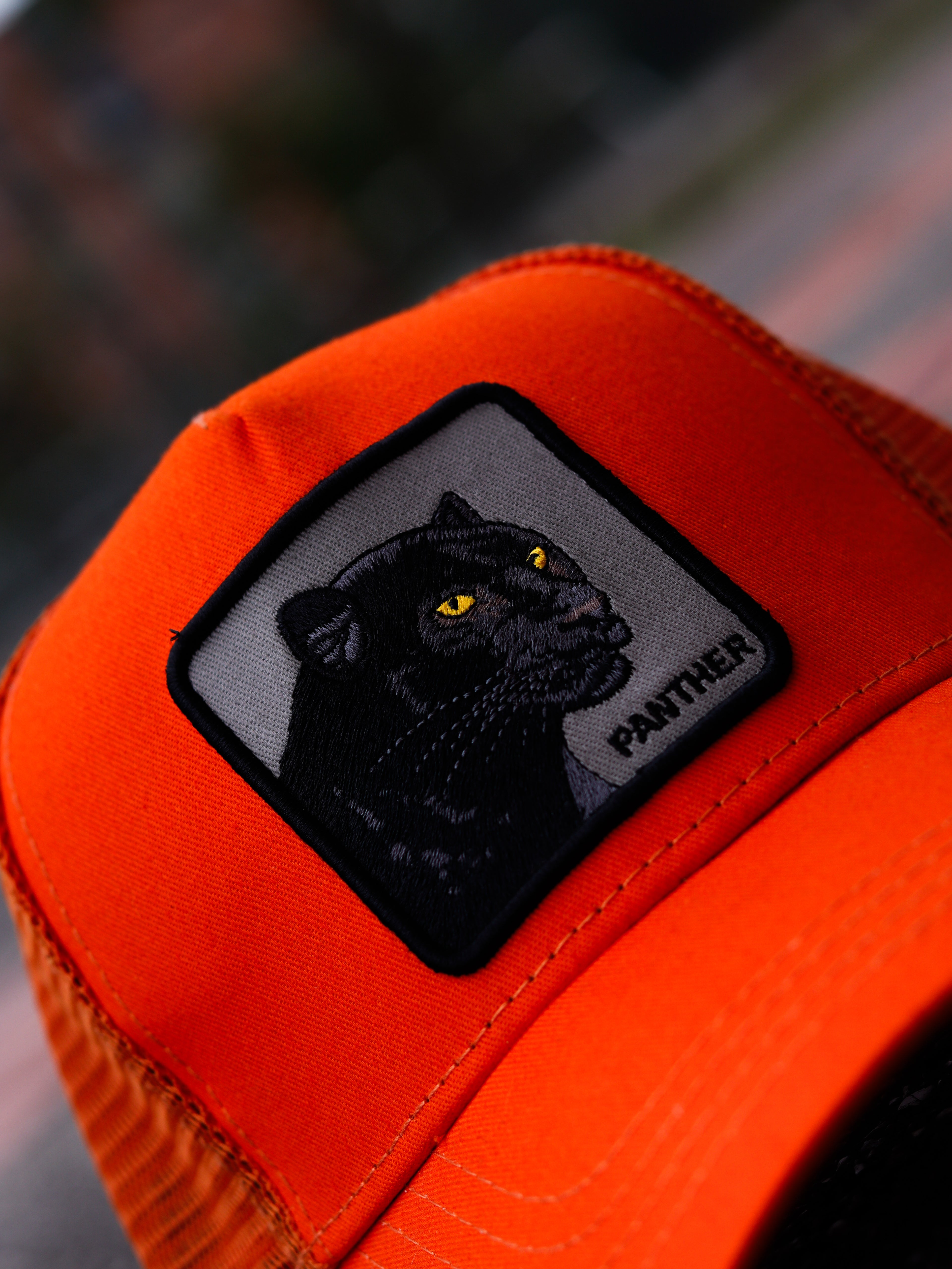 CAP GOORIN BROS PANTER ORANGE